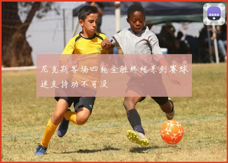 尼克斯客场四轮全胜终结系列赛球迷支持功不可没